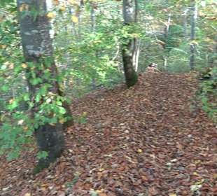 Wandertour "Rund um den Rossberg" Öschingen