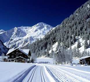 Schönheit eines Wintertages