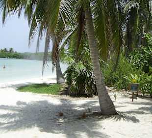 Strand auf der Isla Contoy