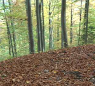 Wandertour "Rund um den Rossberg" Öschingen