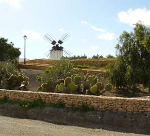 Mühle auf Fuerteventura
