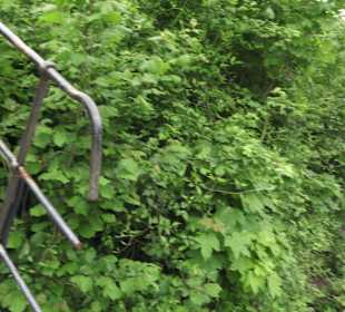 Wellnessbereich Mawell Resort 