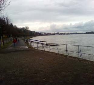 Rheinufer Bonn in Bonn