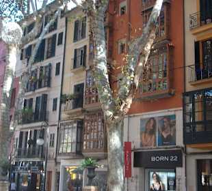Altstadt Palma de Mallorca