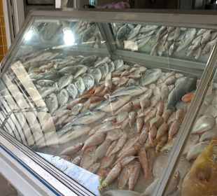 Heute gehe ich Fisch Essen. 