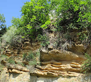 Cetatuia Park