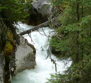 Johnston Canyon