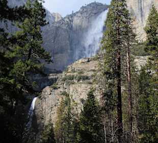 Upper & Lower Yosemite Fall