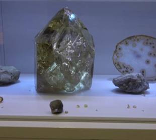 Museum für Naturkunde