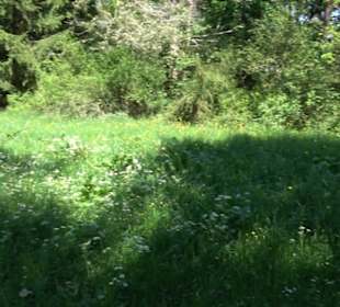 Premiumwanderweg Hochgehschätzt