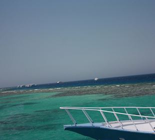 Vor Anker an einem Korallenriff