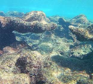 Schnorcheln Avsallar