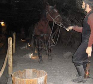 Kopalnia Soli-Wieliczka