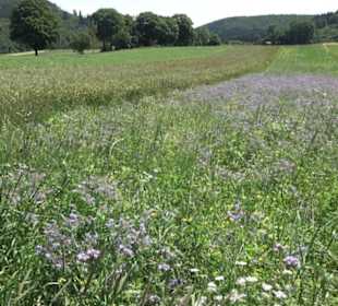 Naturerlebnispfad Sternberg