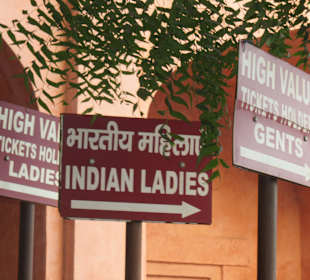 Schlangen sortiert nach Geschlecht und Herkunft