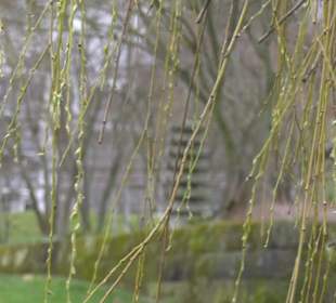 Japangarten Stuttgart