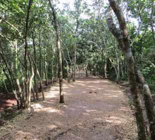 Ein Spaziergang auf dem Ruinen Gelände