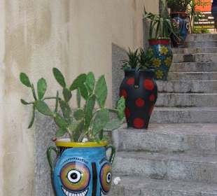 Bekannte Blumentöpfe