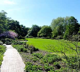 Senkgarten in den Neustadtswallanlagen