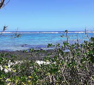 Blue Bay Marine Park