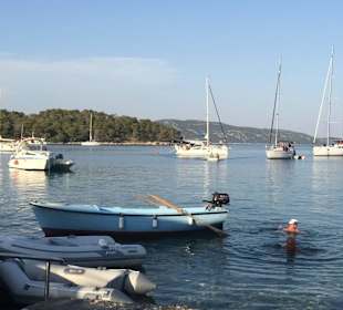 Blick auf das Bojenfeld Baroni