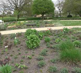 Schlossgarten Ellwangen
