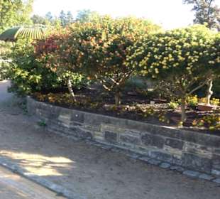 Botanischer Garten