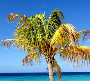 Eindrücke vom Cas Abao Strand