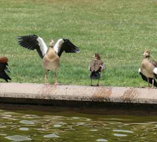 Spaziergang durch den Aachener Stadtgarten