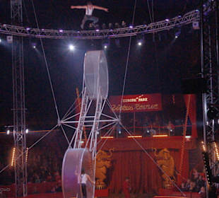 Europapark im Winter