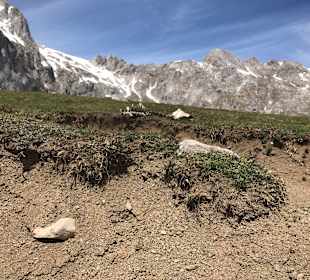 Nationalpark Picos de Europa