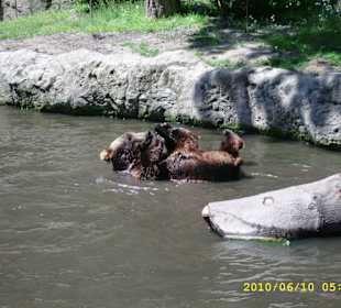 Tierpark Hagenbeck