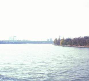 Rhein-Schifffahrt mit der Köln - Düsseldorfer