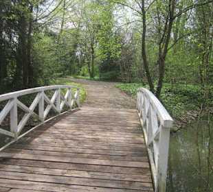 Schlosspark Schwetzingen