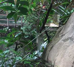 Aquarium