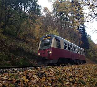 Selkebahn