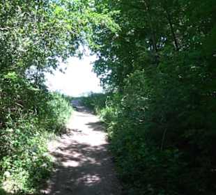 Wanderweg Sieben-Täler-Runde 