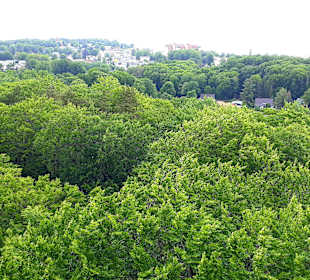 Ausblick