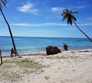 Ausflug zur Insel Saona