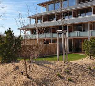 Umgebung am Berzdorfer See.