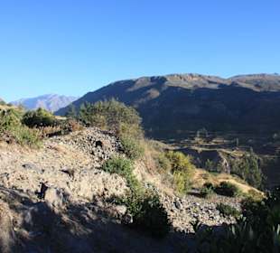 Colca-Tal