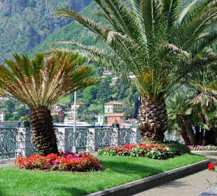 Sonstiges