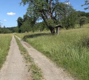 Eduard Lucas Musterobstgarten Mähringen