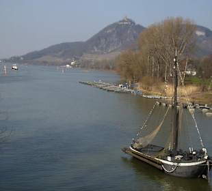 Frühlingstag am Rhein