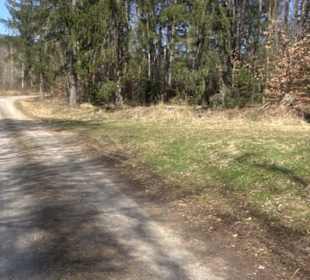 Geologischer Lehrpfad Kirnbachtal