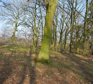 Wunderschöne Boberger Niederung
