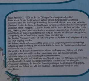 Burg Kräheneck Reusten