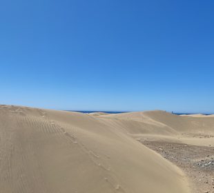 Dünen von Maspalomas