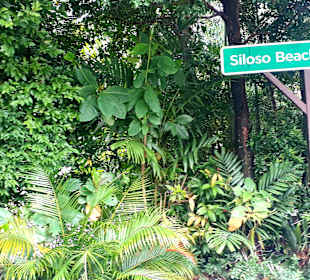 Siloso Beach