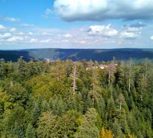 Blick über den Schwarzwald